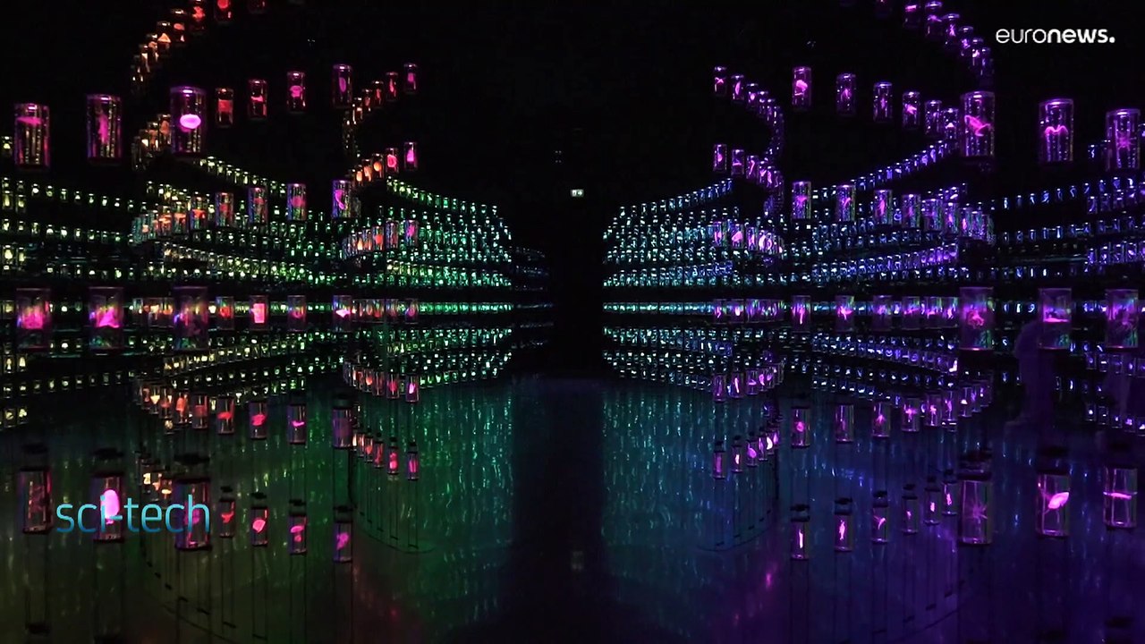 Dubais Museum of the Future: Eine Zeitreise in die Zukunft