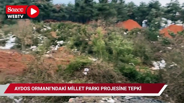 Aydos Ormanı’ndaki millet parkı projesine tepki: Burada yaşayan bir sürü canlı var