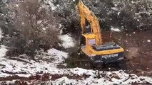 İstanbul'da Millet Bahçesi için Aydos Ormanı'nda kesilen ağaçlar tepki çekti