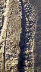 Un chien intelligent créer un chemin dans la neige