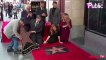 Vidéo : Amy Adams : Saluée par Hollywood, elle rejoint le Walk of Fame !