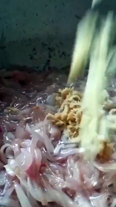 Best chicken Recipe | How To Make chicken | Rk food shorts