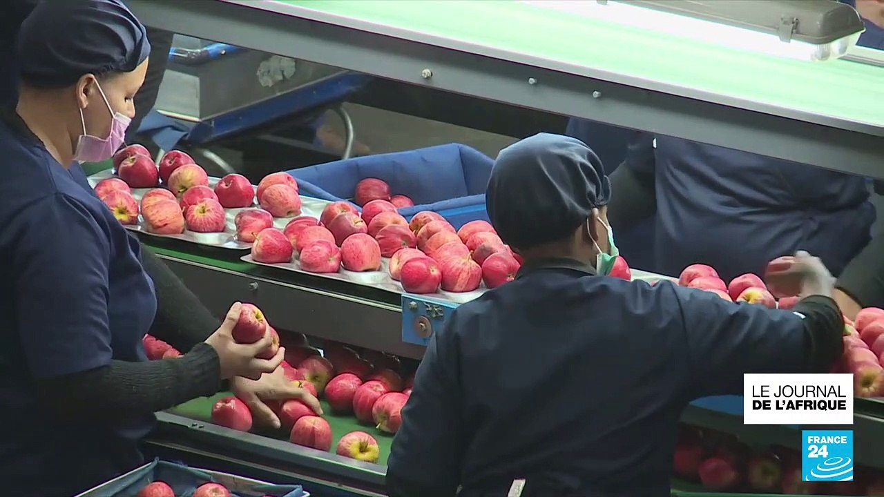 La guerre en Ukraine perturbe les exportations en Afrique du Sud, et impacte les revenus des locaux