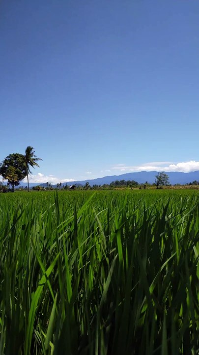 Keindahan Alam