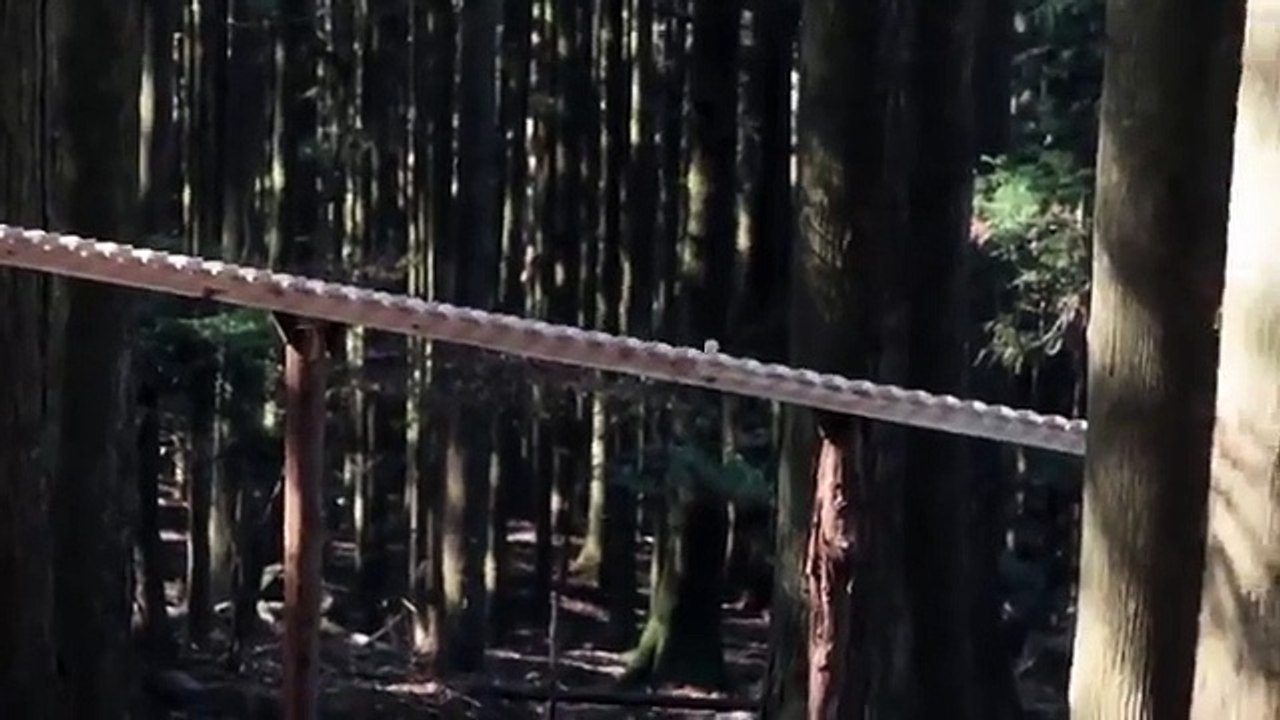 The sound of a giant xylophone