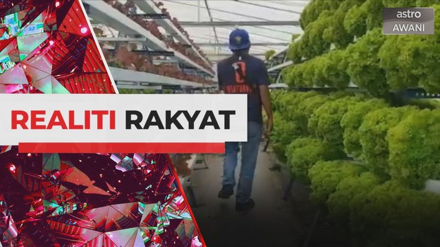 Realiti Rakyat: Nasib perusahaan pertanian di Kundasang ketika PKP