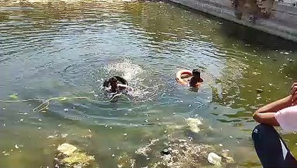 Doubt of sucide : रुपए नहीं दिए तो युवक ने की यह हरकत, देखें vdieo