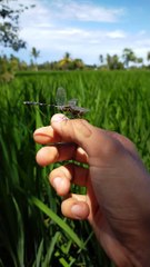 Keindahan Alam Yang Sangat Luar Biasa