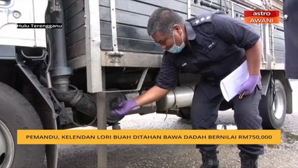 Pemandu, kelendan lori buah ditahan bawa dadah bernilai RM750,000