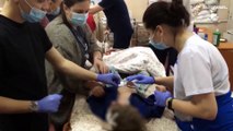 Krieg in der Ukraine Tag 23: Verletzte Kinder aus Mariupol, Bomben auf Lwiw