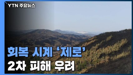 산림 생태계 회복 시계 '제로'...산사태 등 2차 피해 우려 / YTN