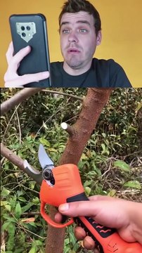 #Shorts Puse a prueba las tijeras electricas para podar