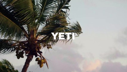 YETI Bimini Collection