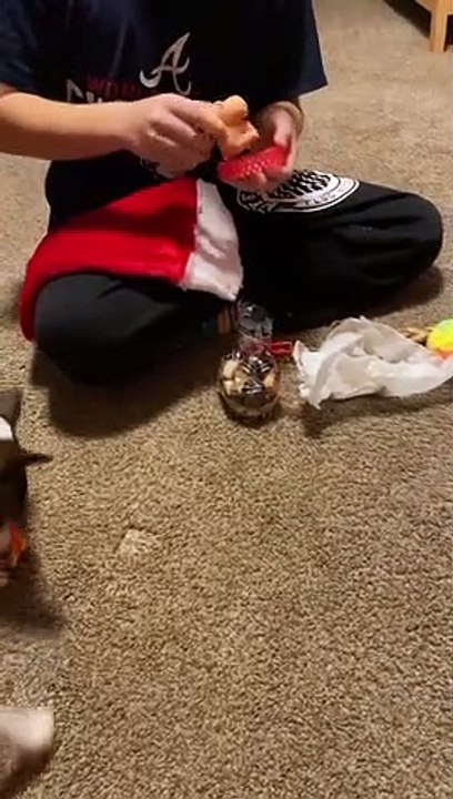 Merry Christmas Princess