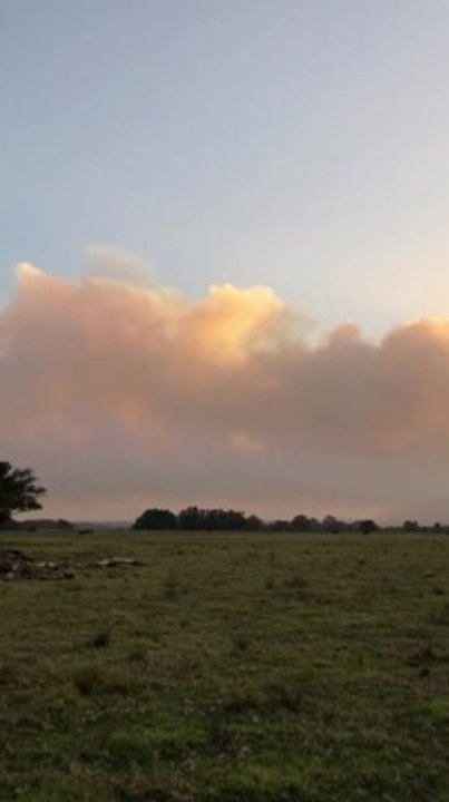 Video by Deena Curtis