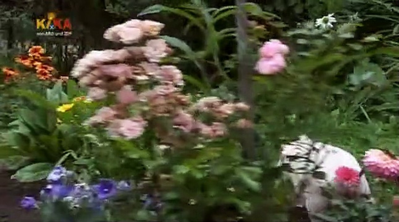 Endlich Samstag! Staffel 2 Folge 14