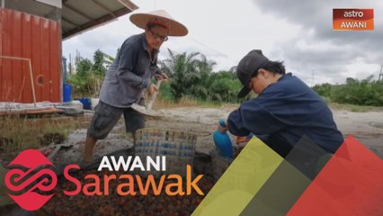 Ladang sawit jadi punca rezeki keluarga sejak PKP