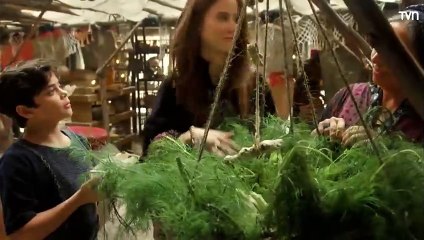 Génesis Capítulo 117 en Español Latino