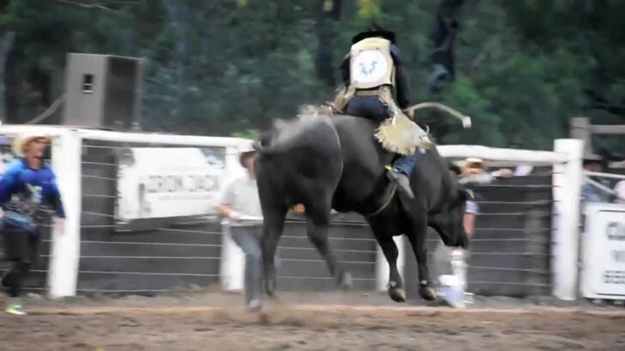 Wingham Rodeo 2019