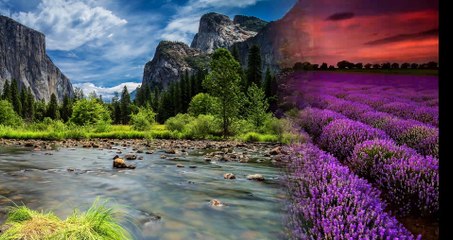 Nature, flute, sun rays, music