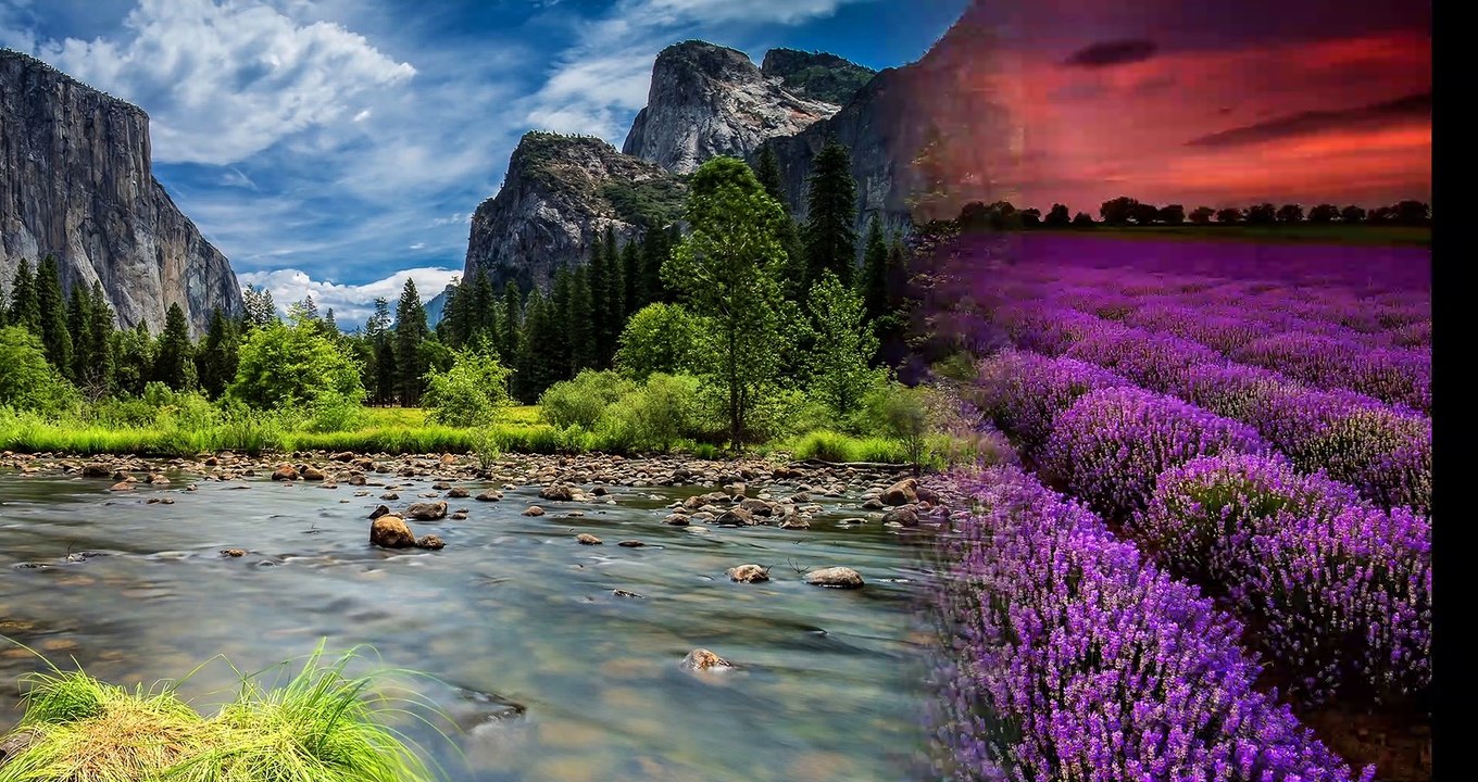 Nature, flute, sun rays, music