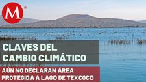 Se retrasa declaratoria de Lago de Texcoco como Área Natural Protegida | Claves del cambio climático