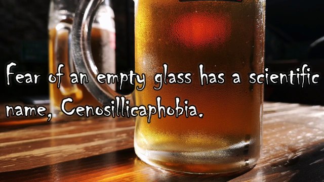 Facts about Alcohol #alcohol #beer