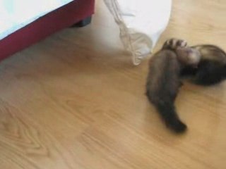 La recette d'un pout-pout réussi!