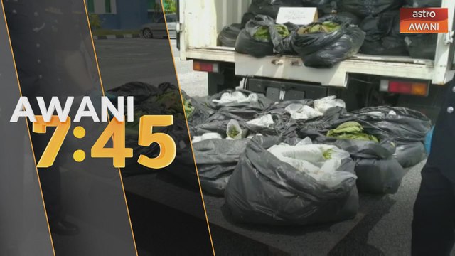 Cubaan dua lelaki seludup daun ketum ke Lembah Klang tumpas