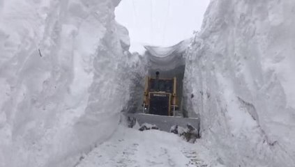 Ağrı'da köylülerin ulaşımı sağladıkları 'kar tüneli'ne çığ düştü