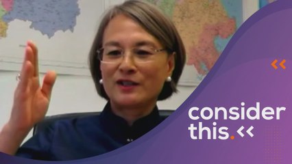 Consider This: WHO (Part 2) - Understanding the Virus?