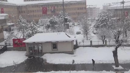 Kar yağışı etkili oluyor