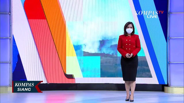 Seluas 162 Km Persegi Lahan Hutan di Texas Kebakaran, Baru 2% Lahan yang Berhasil Dipadamkan