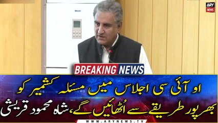 Download Video: Kashmir issue will be raised in the OIC meeting, says Shah Mehmood Qureshi