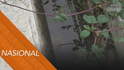 Kes demam denggi di Terengganu meningkat sepanjang PKP