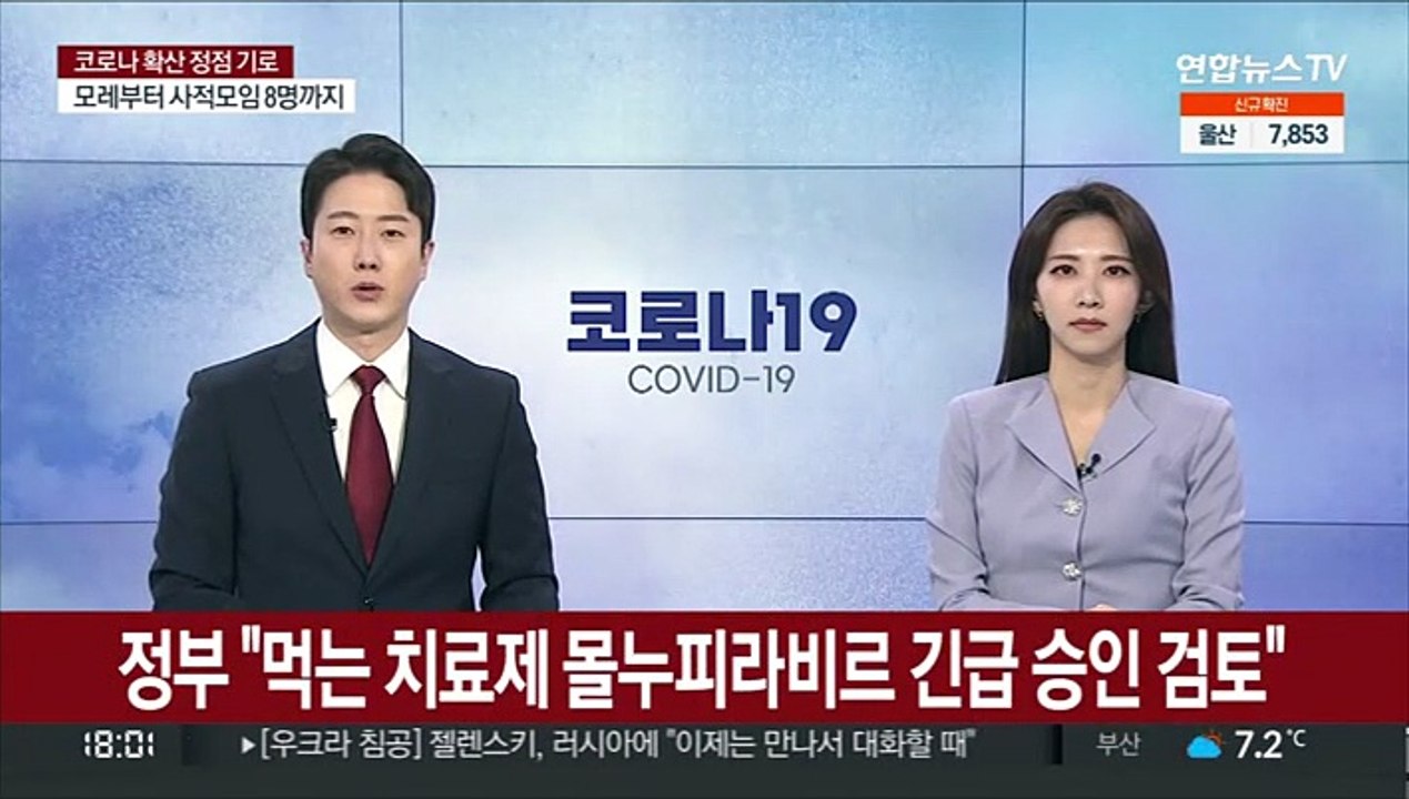 정부 "먹는 치료제 몰누피라비르 긴급승인 검토"