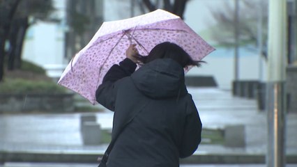 [날씨] 오늘 밤까지 눈이나 비...그친 뒤 꽃샘추위 / YTN