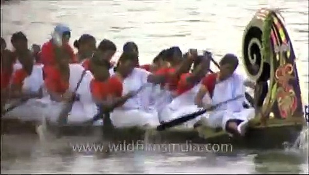 Women's team, racing along the backwaters of Kerala - Nehru Trophy Boat Race