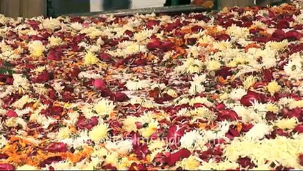 Phool Walon ki Sair, Delhi