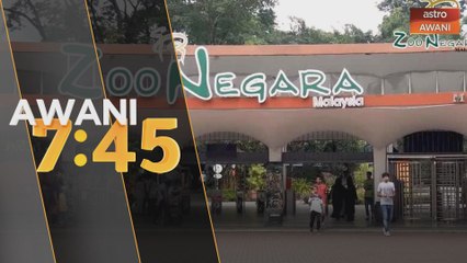Zoo mungkin ditutup jika pengunjung gagal patuhi SOP