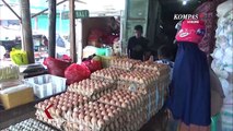 Jelang Puasa Permintaan Telur Ayam Mulai Meningkat Di Pasar Remu Sorong