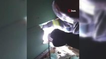 Asma tavanda sıkışan yavru kedileri itfaiye kurtardı