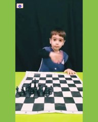 Chess, laying the game pieces