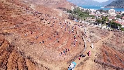 Marmaris'te yanan ormanlık alanlarda 300 bin fidan toprakla buluştu