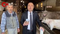 CHP'li Aygun’dan “süt fiyatı” tepkisi: Süt üreticisinin infazı gerçekleşti