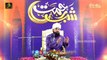 Muhammad Raza SaQib Mustafai Ramzan Bayyan - Ramadan ka Pegham New Heart Touching Nafs o Shaitan