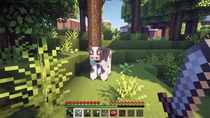 Minecraft Gameplay  Survival Relaxing Fun