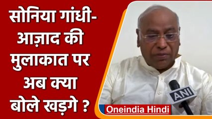 Descargar video: Sonia Gandhi-Ghulam Nabi की मुलाकात पर क्या बोले Mallikarjun Kharge ? | वनइंडिया हिंदी