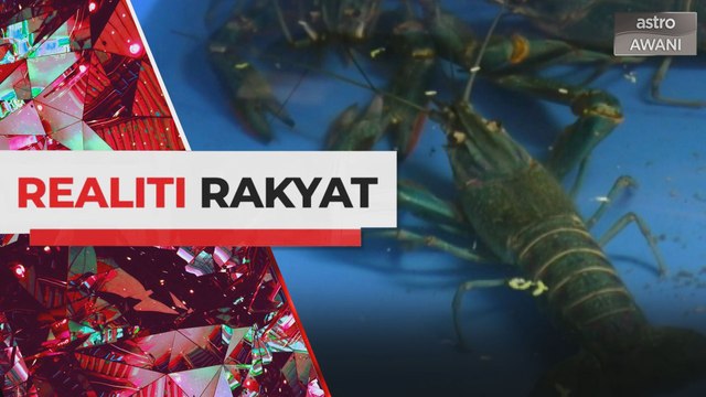Realiti Rakyat: Pertanian pintar kalis krisis