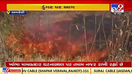 Massive fire breaks out in Khambal forest area in Amreli _Gujarat _TV9GujaratiNews
